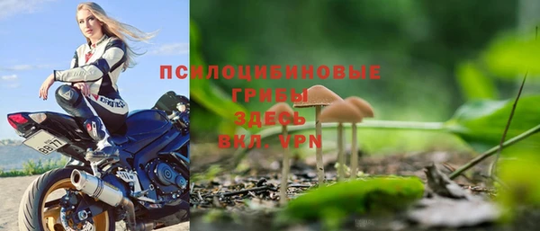 стаф Дмитриев