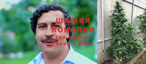 spice Абаза