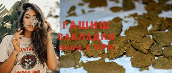 гидра Краснослободск