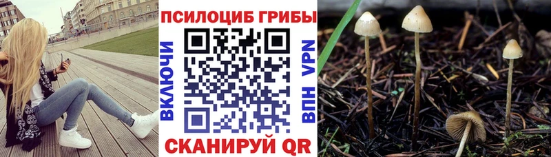 Псилоцибиновые грибы мухоморы  купить закладку  Зеленогорск 