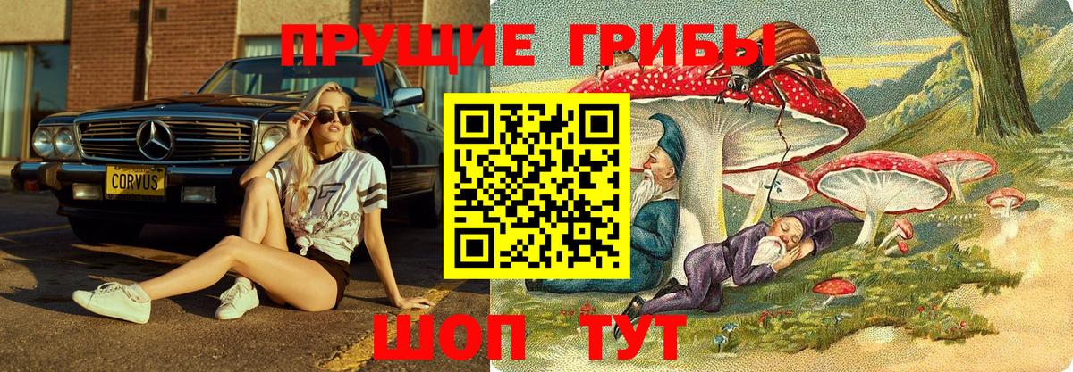 Галлюциногенные грибы MAGIC MUSHROOMS  Вход с VPN  Галлюциногенные грибы мухоморы  Зеленогорск 